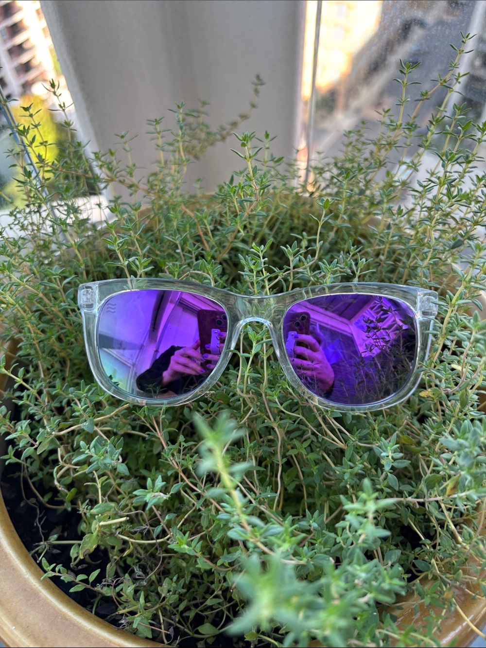 Neven Rosco Purple Rain
